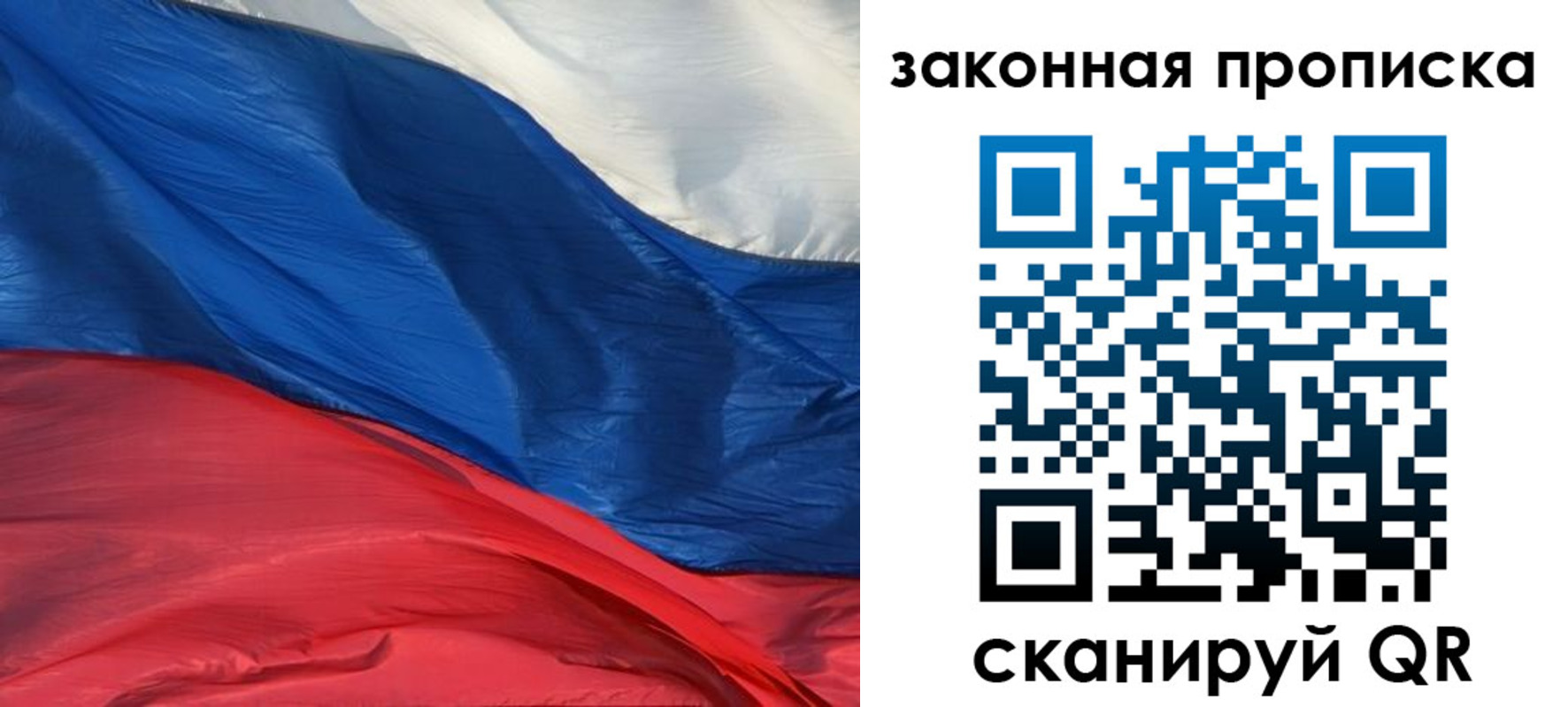 прописка в Сольцах